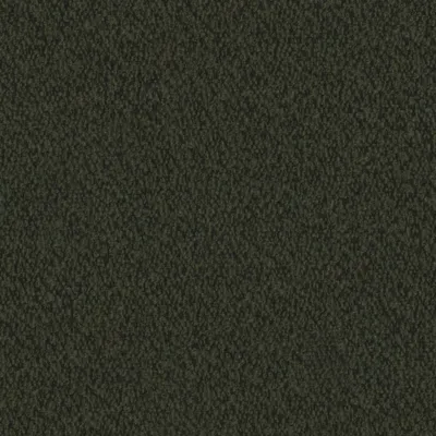 Everest Fern swatch