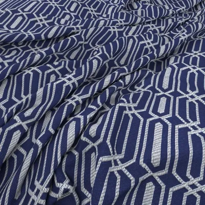 Fiesta Blueberry swatch
