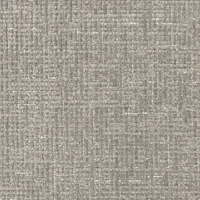 Gabba Silver swatch