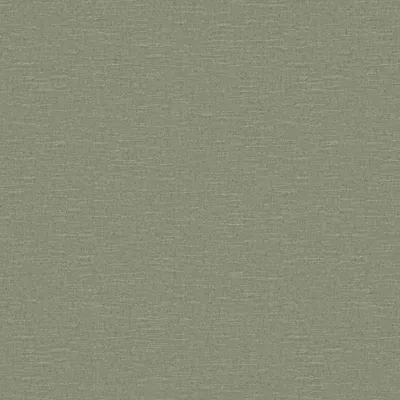 Husk Kiwi swatch