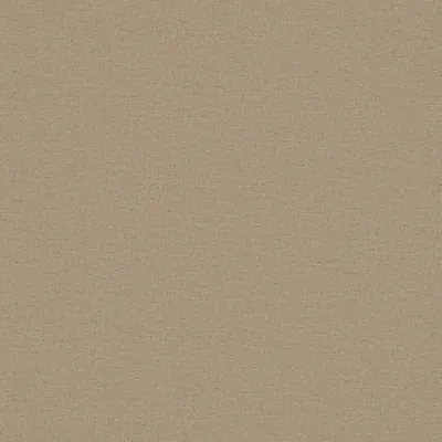 Husk Sesame swatch