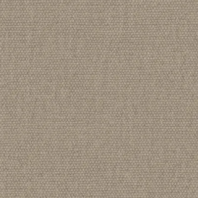 Jumbo Limewash swatch
