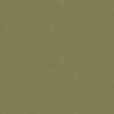 Koki Apple swatch