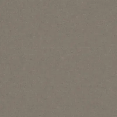 Koki Biscuit swatch