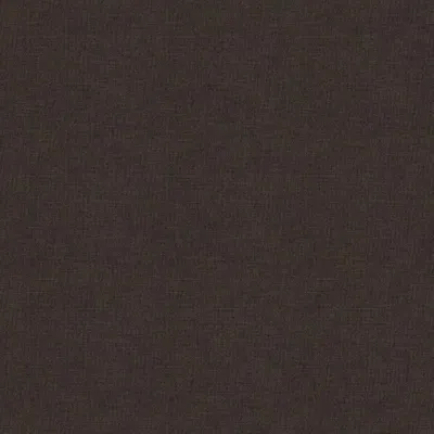 Koki Coffeebean swatch