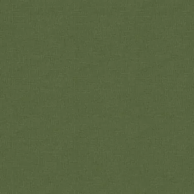 Koki Kiwi swatch
