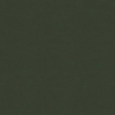 Koki Vine swatch