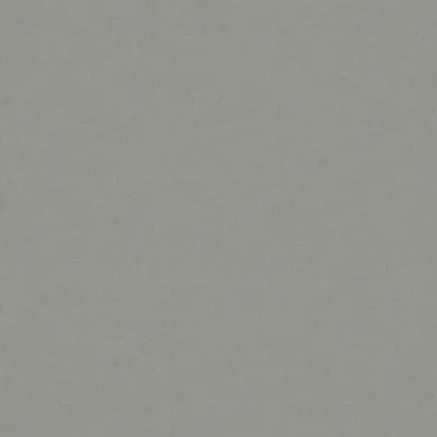 Koki Zinc swatch