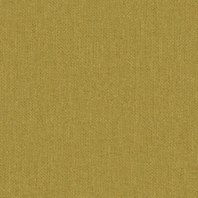 Krayola Cornsilk swatch