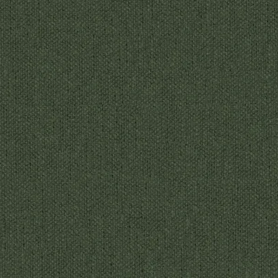 Krayola Fern swatch