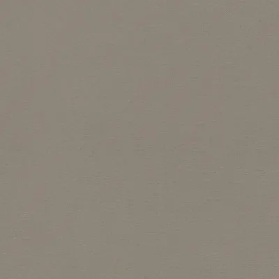 Laundered-Linen Limewash swatch
