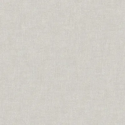 Loire Limewash swatch