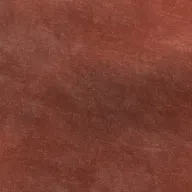 Lovely Coral swatch