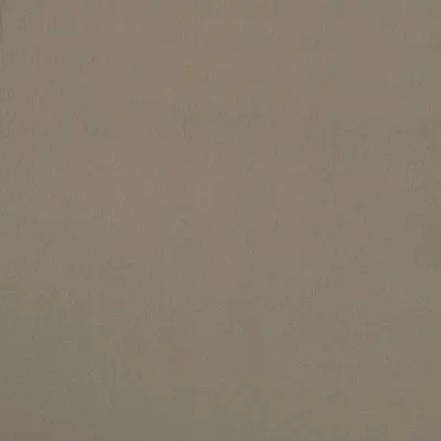 Lustre Beige swatch