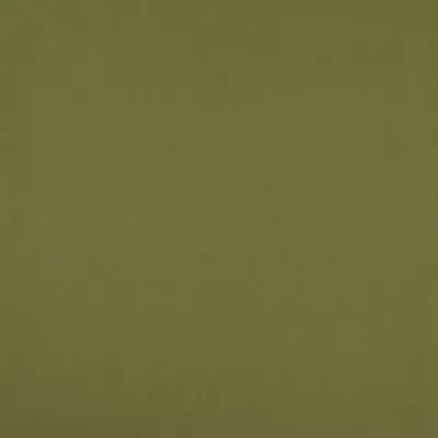 Lustre Pistachio swatch
