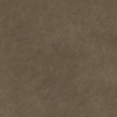Magnum Taupe swatch