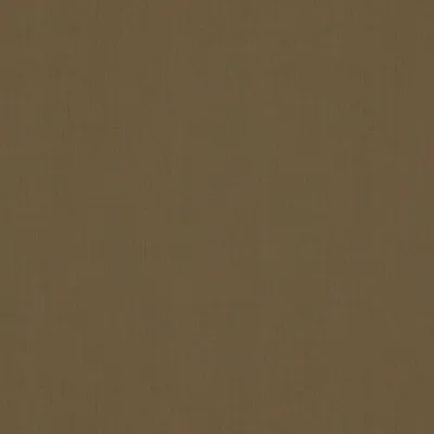 Malabar Fennel swatch