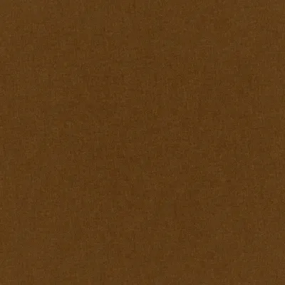 Manolo Cinnamon swatch
