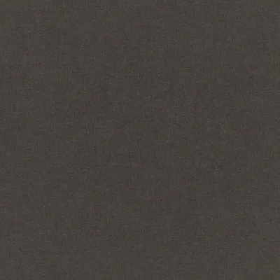 Manolo Mole swatch