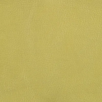 Marlborough Avocado swatch
