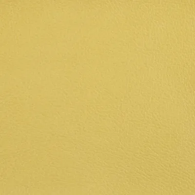 Marlborough Mustard swatch