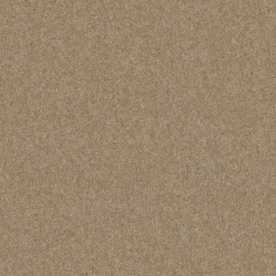 Melton Biscotti swatch