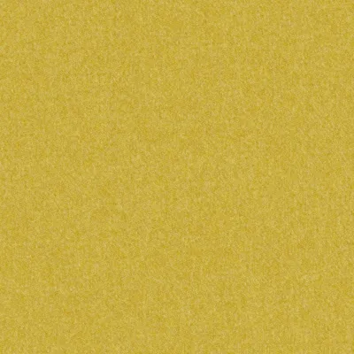 Melton Primrose swatch
