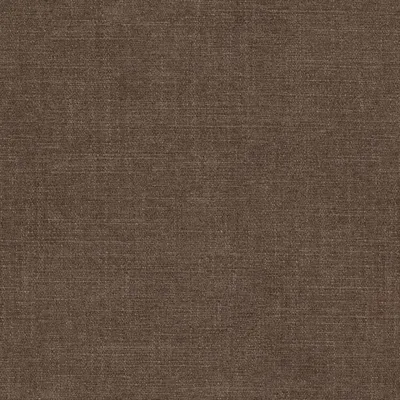 Nevada Earthborn swatch