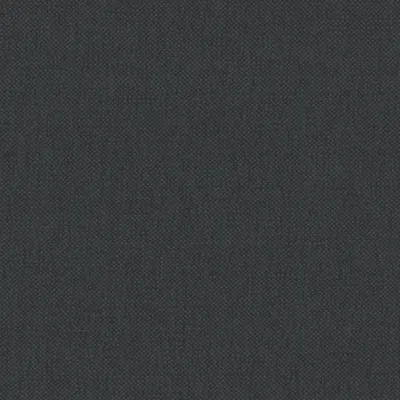 Oxford Thunder swatch