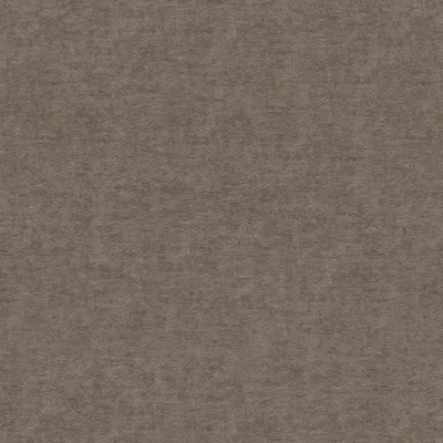 Pagani Bisque swatch