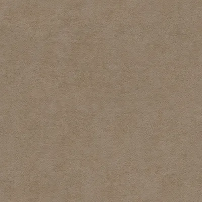 Pagani Wheat swatch