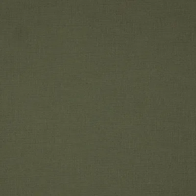 Panama Forage swatch