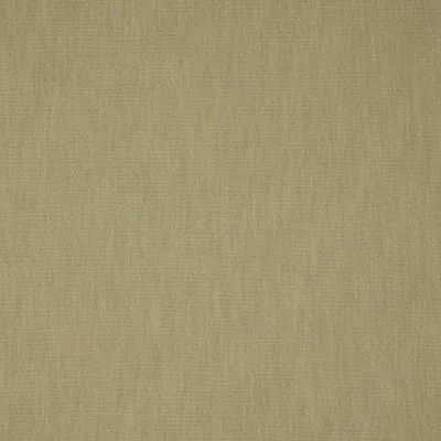 Panama Laurel swatch