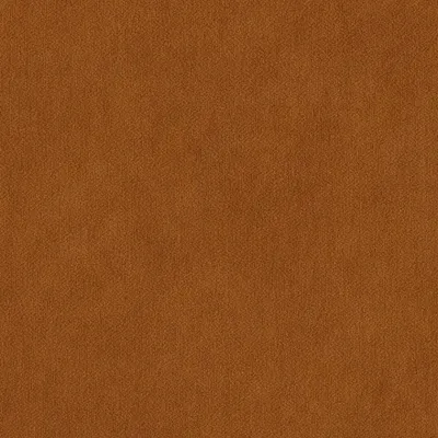 Peachy Ginger swatch