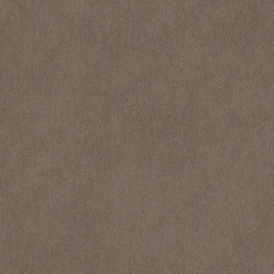 Peachy Mink swatch