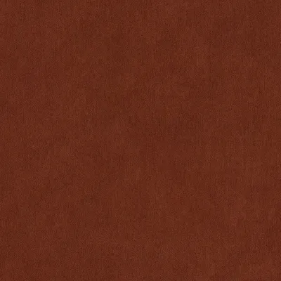 Peachy Russet swatch