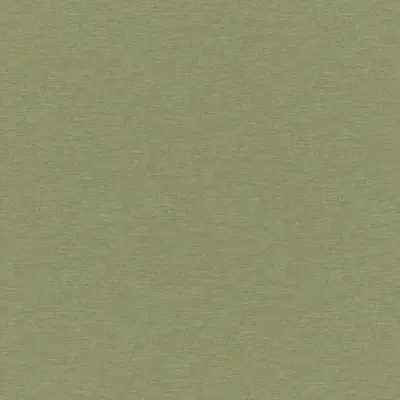 Playa Lime swatch