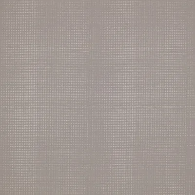 Plaza Silver swatch