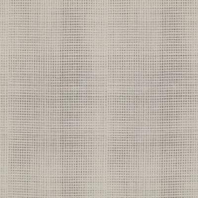 Plaza Steel swatch
