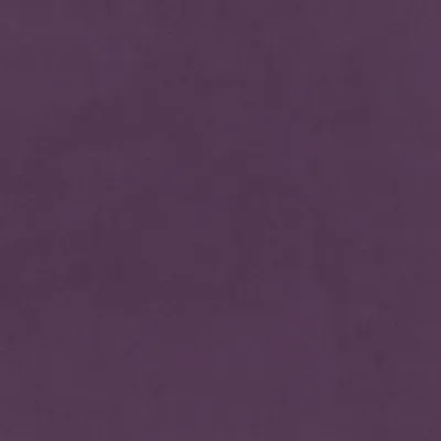 Plush Velvet Amethyst swatch