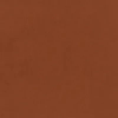 Plush Velvet Apricot swatch