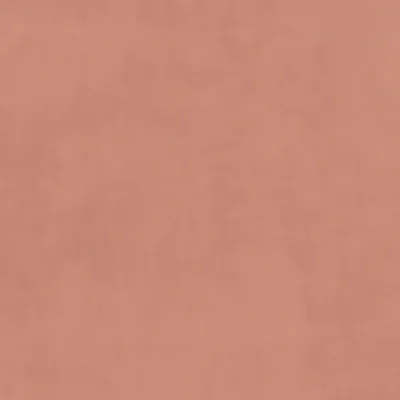 Plush Velvet Blush swatch