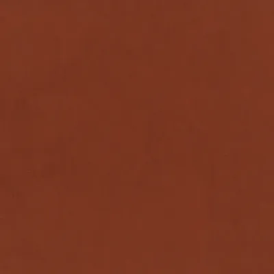 Plush Velvet Brick swatch