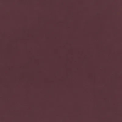 Plush Velvet Brinjal swatch