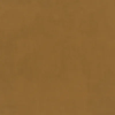 Plush Velvet Caramel swatch
