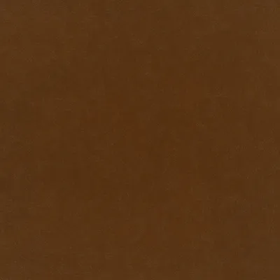 Plush Velvet Cayenne swatch