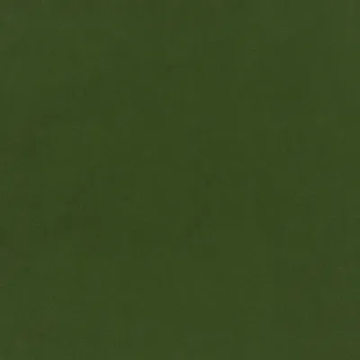 Plush Velvet Conifer swatch
