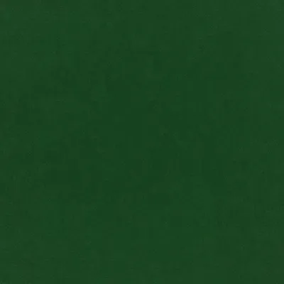 Plush Velvet Evergreen swatch