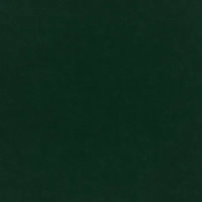 Plush Velvet Hunter swatch