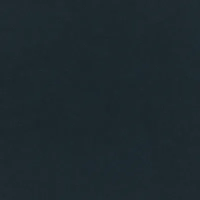 Plush Velvet Navy swatch